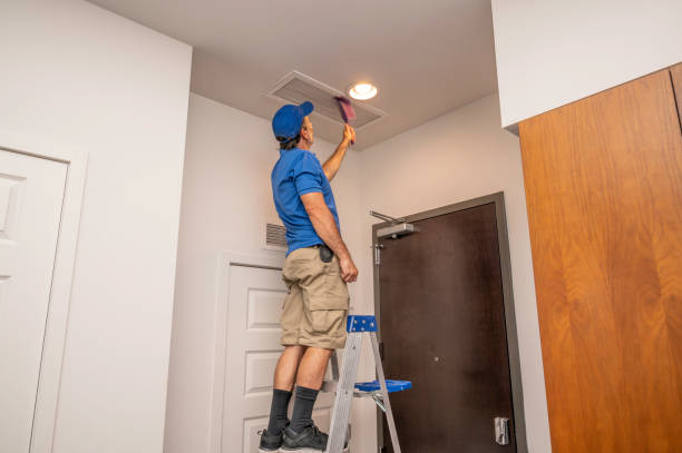 Best Ventilation Cleaning Services  in Mledgevle, IL